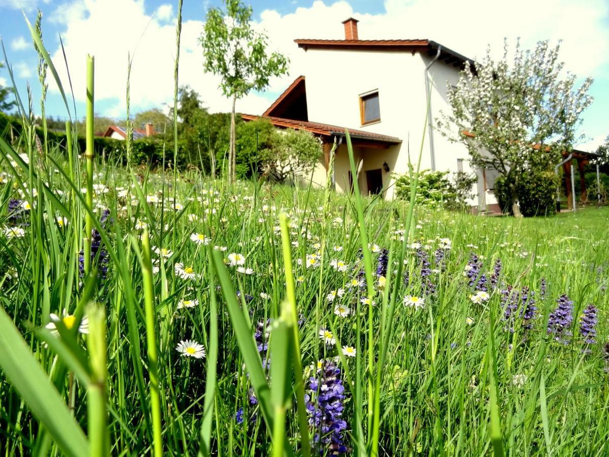 Ferienwohnung Schneider Mettlach Εξωτερικό φωτογραφία